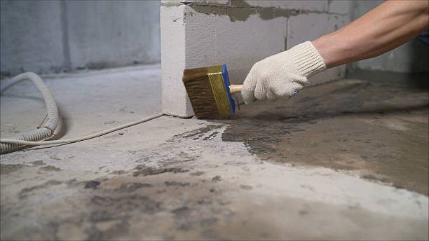 Top rated local Waterproofing specialists in Haydenville, OH